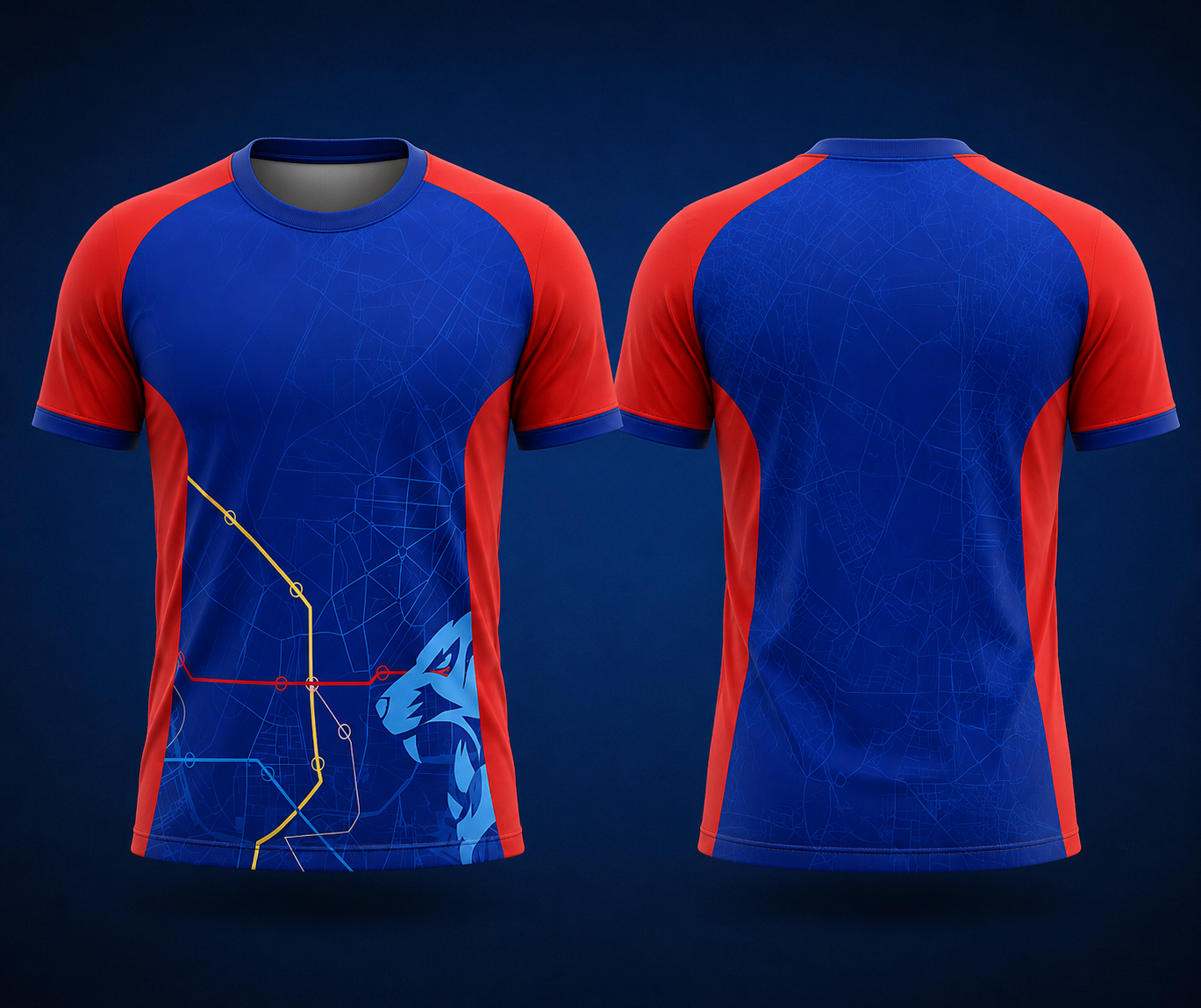 delhi blue colour  fan jersey round  nek name and number print